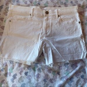 LOFT white denim shorts- size 6